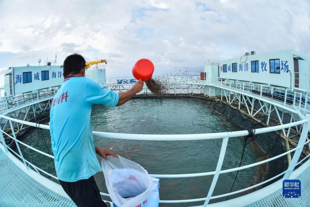 搜狗浏览器